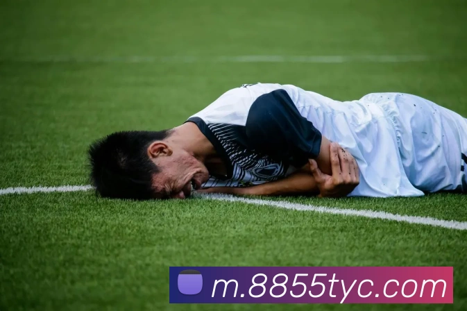 赛事专题整合
